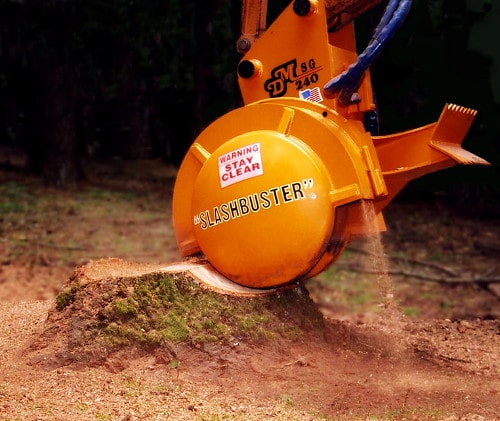Tree Removal Knutsford